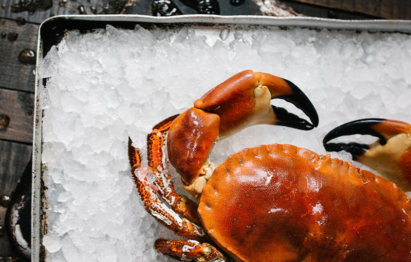 Seafood Distributor-How Eating Crabs Can Promote Good Health?