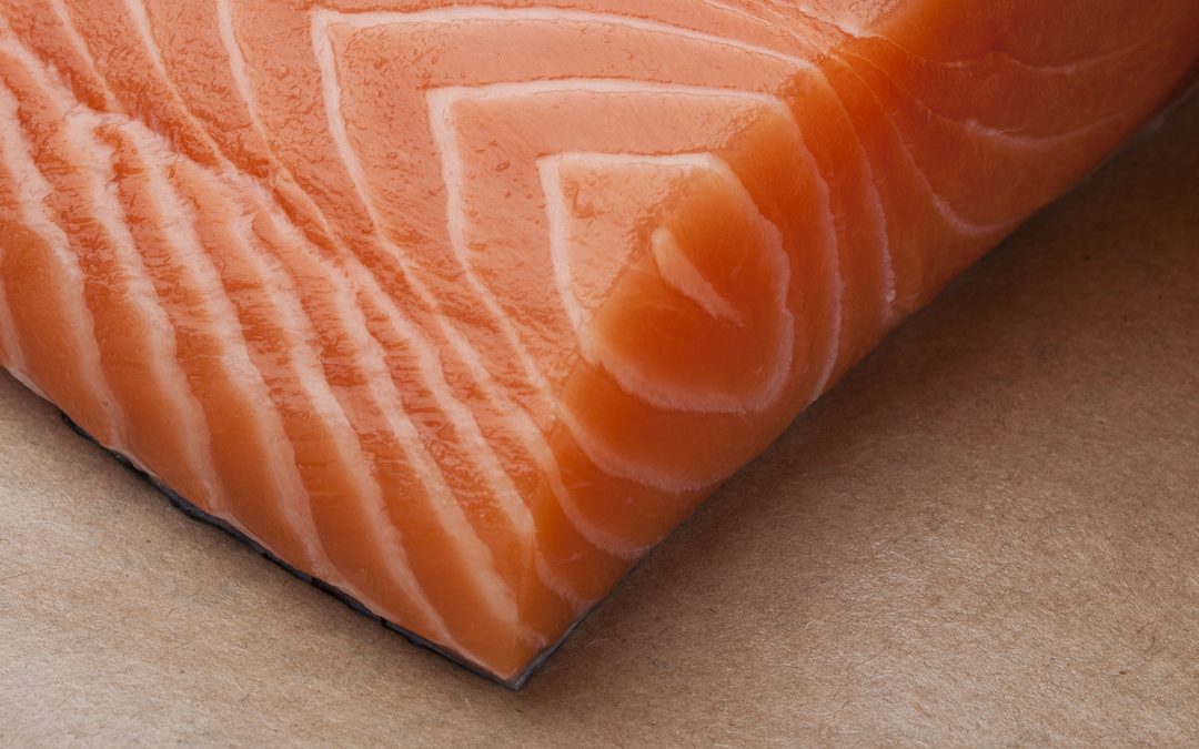 Why Verlasso Salmon is Superior